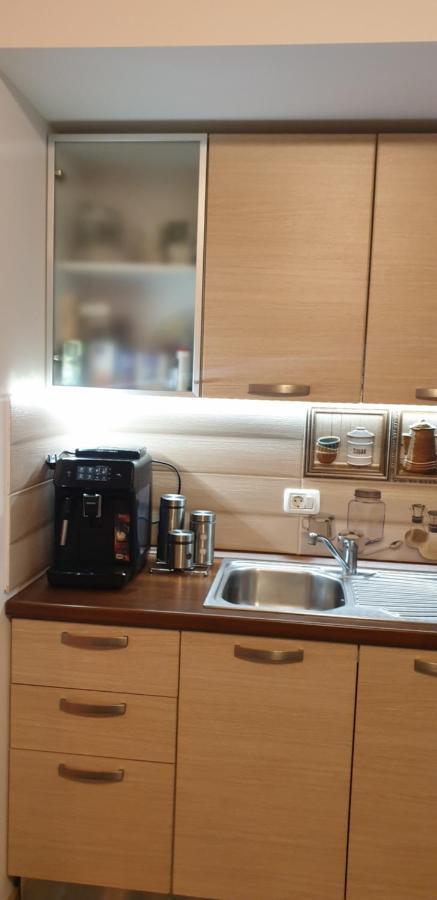 Emma Apartament Sinaia Eksteriør billede