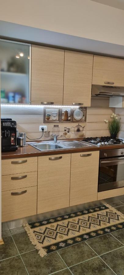 Emma Apartament Sinaia Eksteriør billede